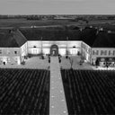 Cantina Chassagne Montrachet Au Pied De Mont Chauve