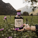 Foletto Amaro Proibito