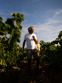 Gerard Bertrand in Vigna