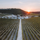 Gérard Bertrand Chateau l'Hospitalet