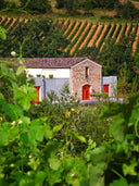 Gérard Bertrand Domaine de l'Aigle