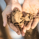 Gérard Bertrand Terroir