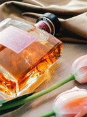 Grappa Amarone Quaglia