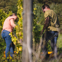 Sybille Kuntz Harvest Pickers