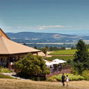 Domaine Drouhin in Oregon